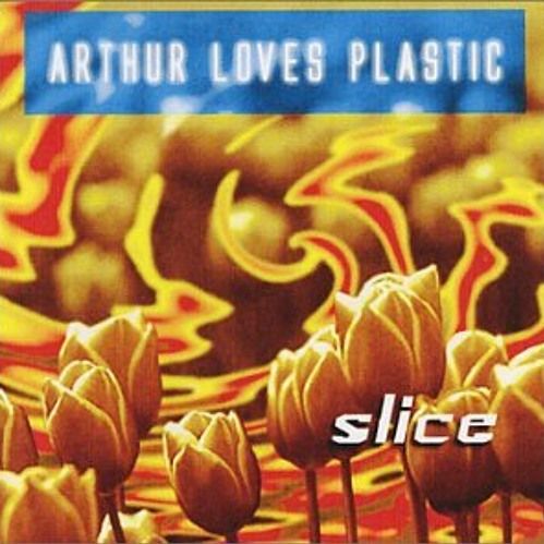 Slice cover